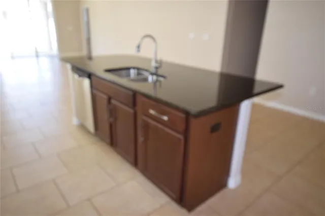 a close view of a sink a counter space and utility room