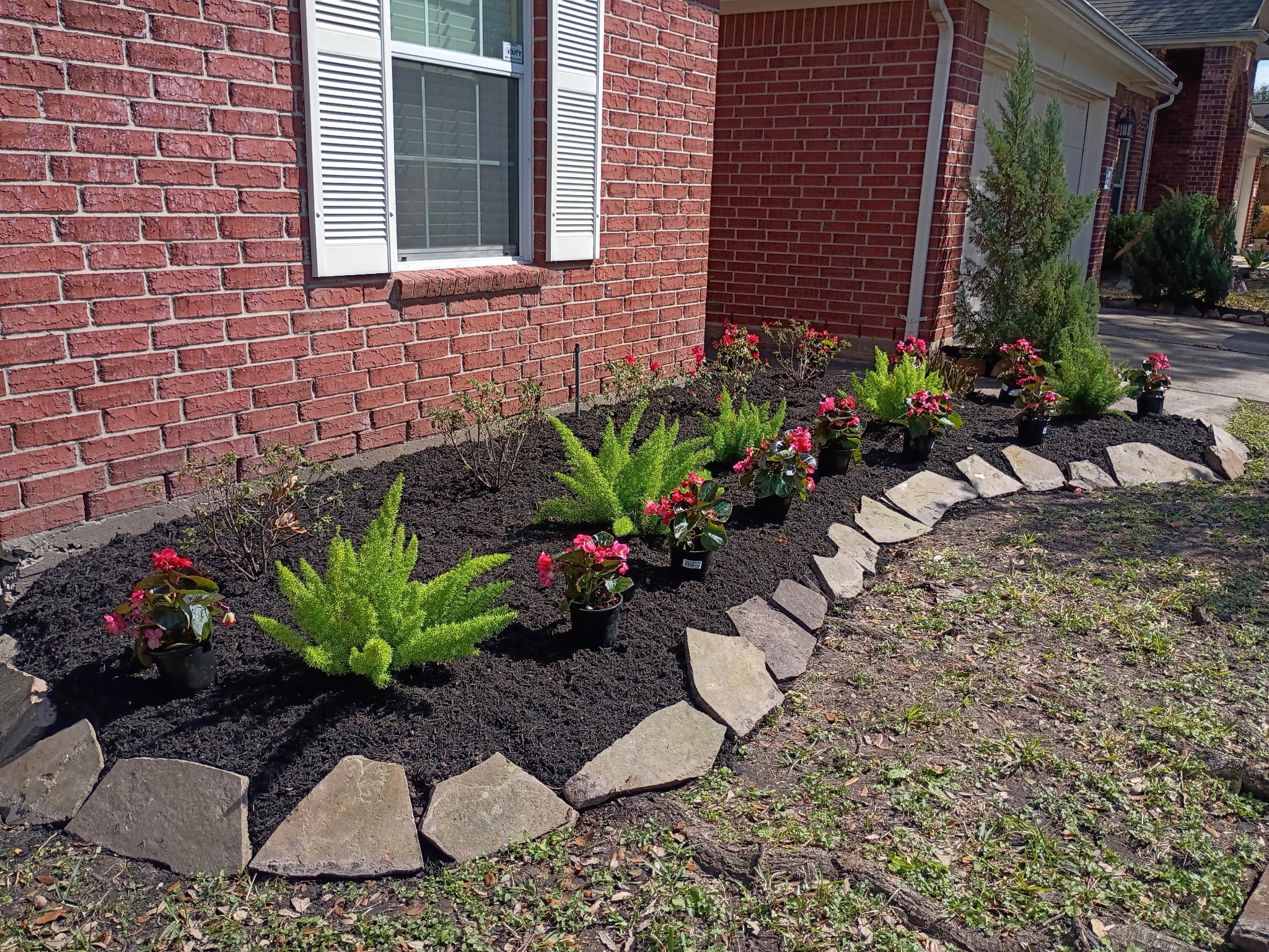 11227 Agave Ridge Lane Houston, TX 77089 - Photo 2 of 10 a view of a potted plant sitting in front of a house