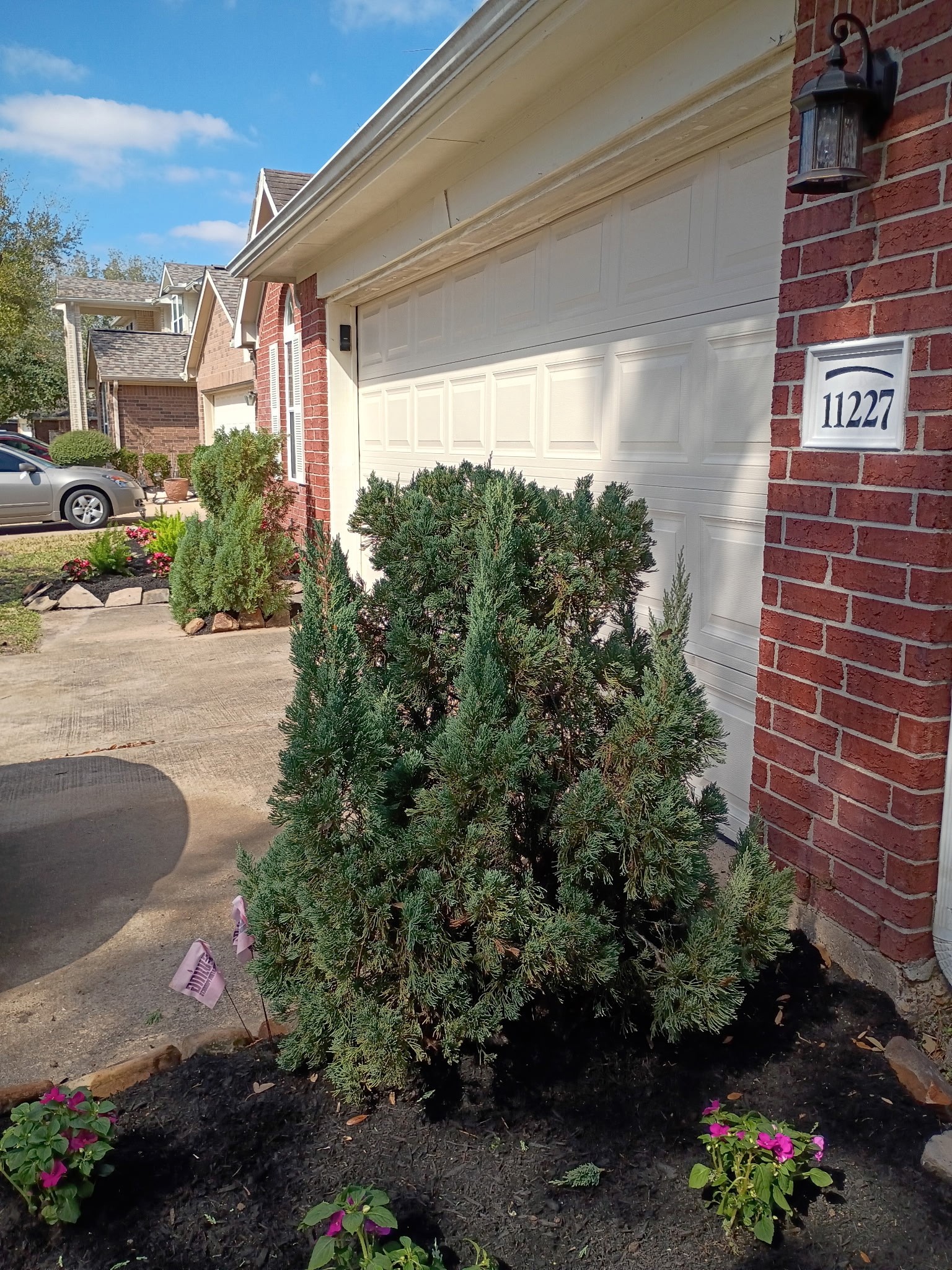 11227 Agave Ridge Lane Houston, TX 77089 - Photo 4 of 10