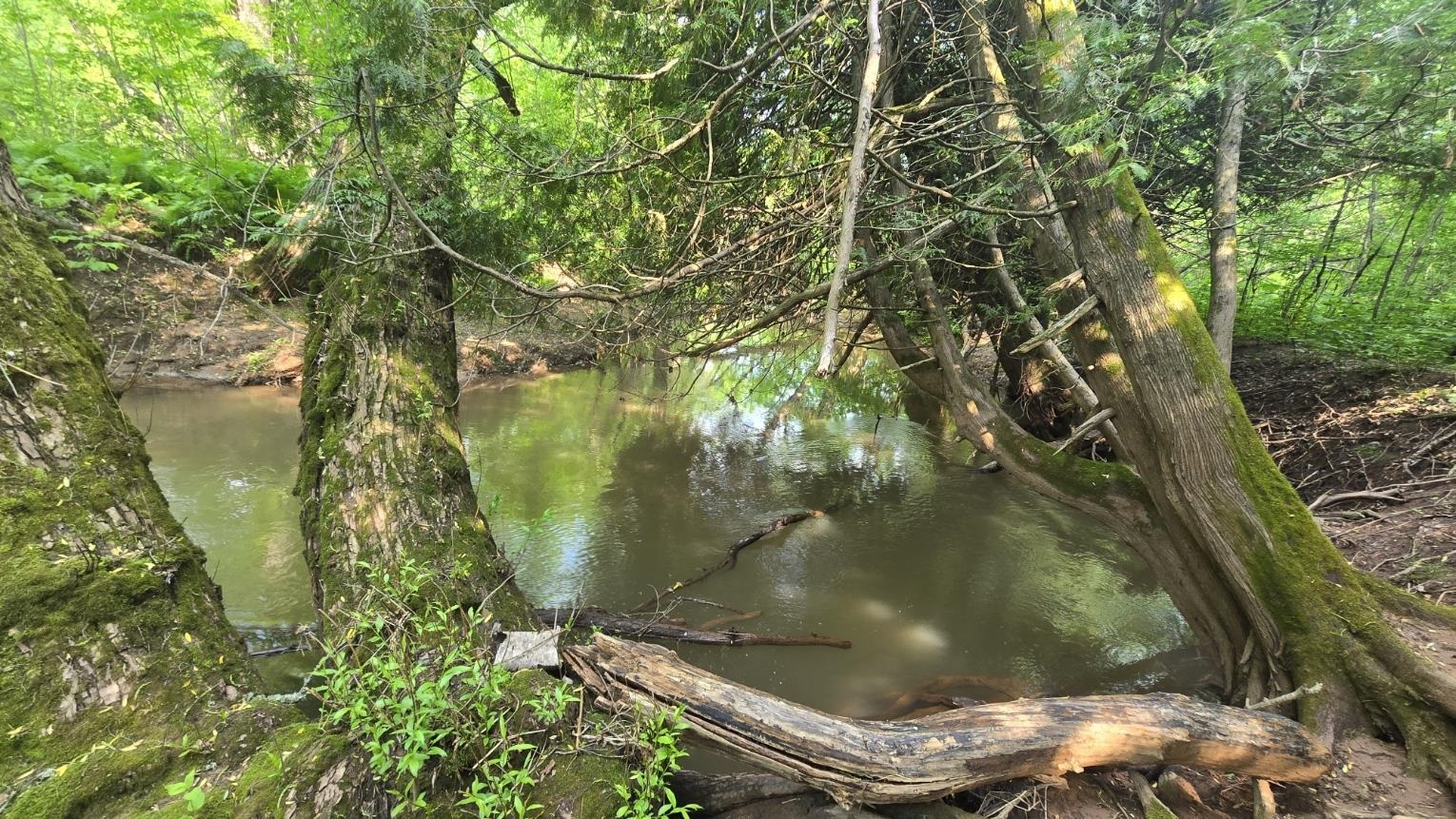 10550 Flagg River Road Port Wing, WI 54865 - Photo 2 of 13