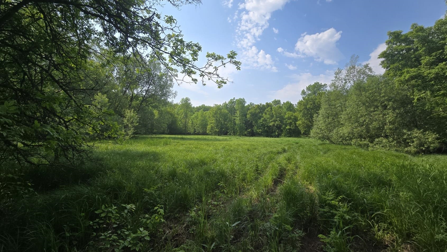 10550 Flagg River Road Port Wing, WI 54865 - Photo 3 of 13