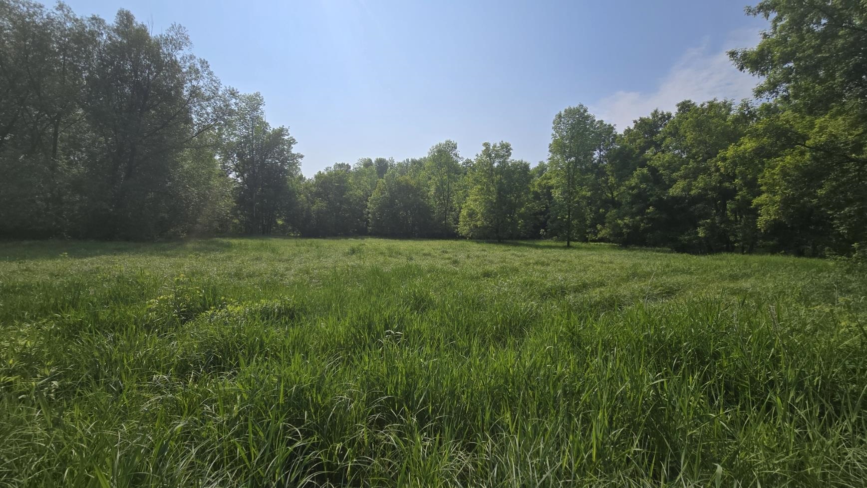 10550 Flagg River Road Port Wing, WI 54865 - Photo 4 of 13