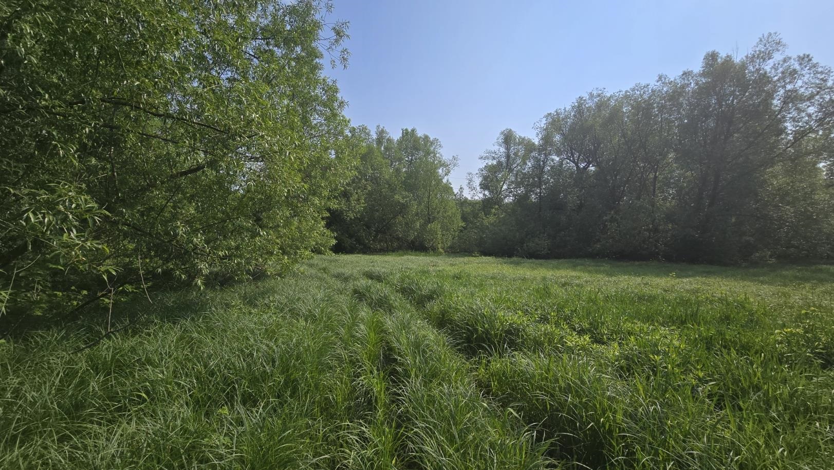 10550 Flagg River Road Port Wing, WI 54865 - Photo 7 of 13