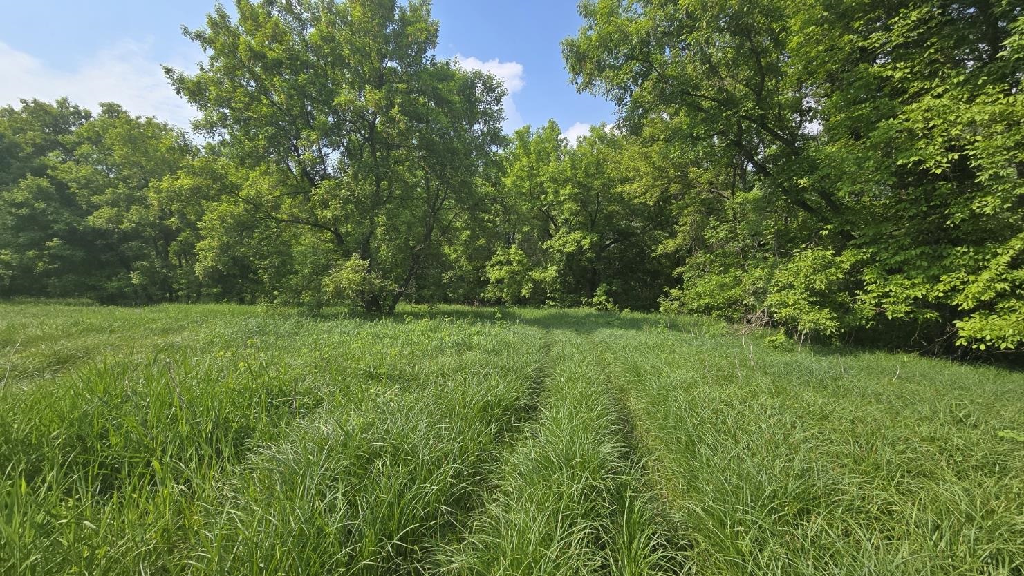 10550 Flagg River Road Port Wing, WI 54865 - Photo 8 of 13