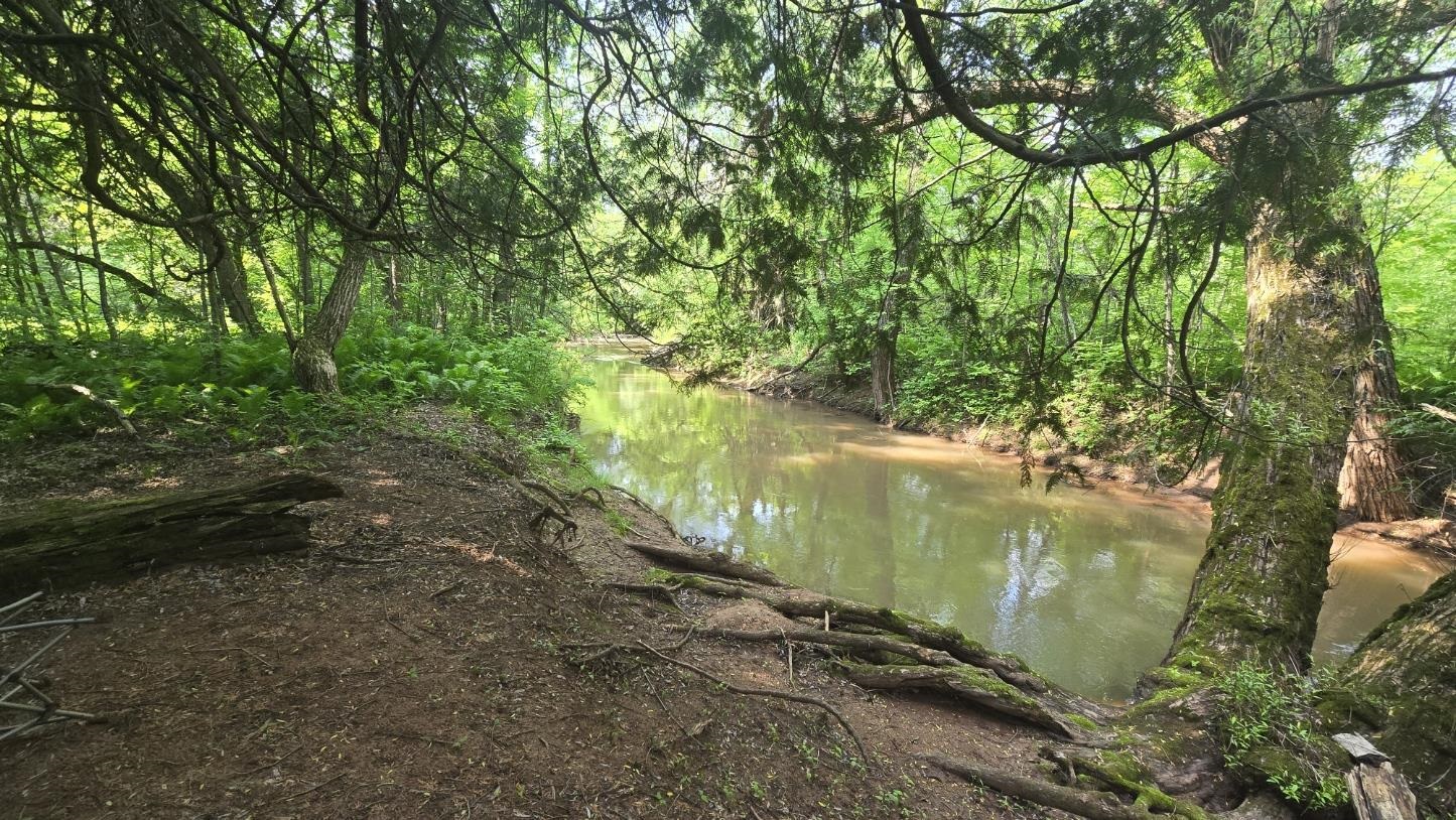 10550 Flagg River Road Port Wing, WI 54865 - Photo 10 of 13