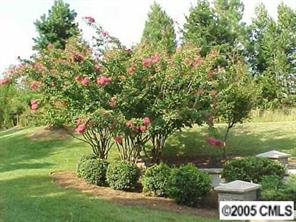 43 Fox Ridge Circle Davidson, NC 28036 - Photo 8 of 8 a view of yard with green space