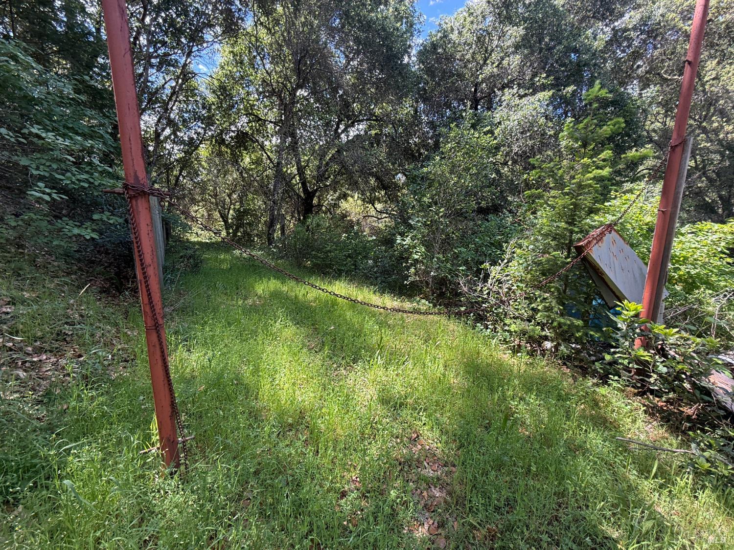23889 Walling Road Geyserville, CA 95441 - Photo 2 of 10 a view of a garden
