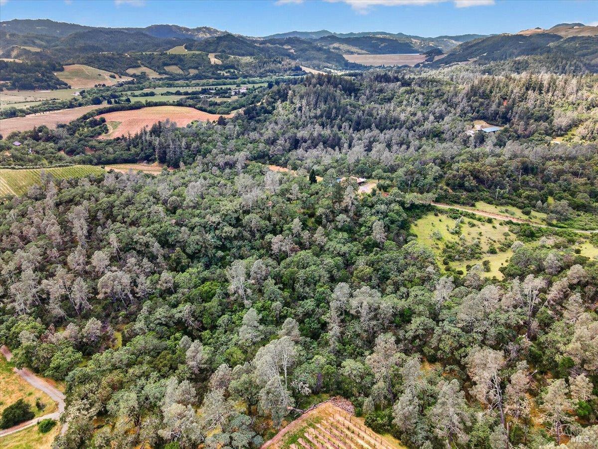 23889 Walling Road Geyserville, CA 95441 - Photo 8 of 10 an aerial view of residential house and lake view