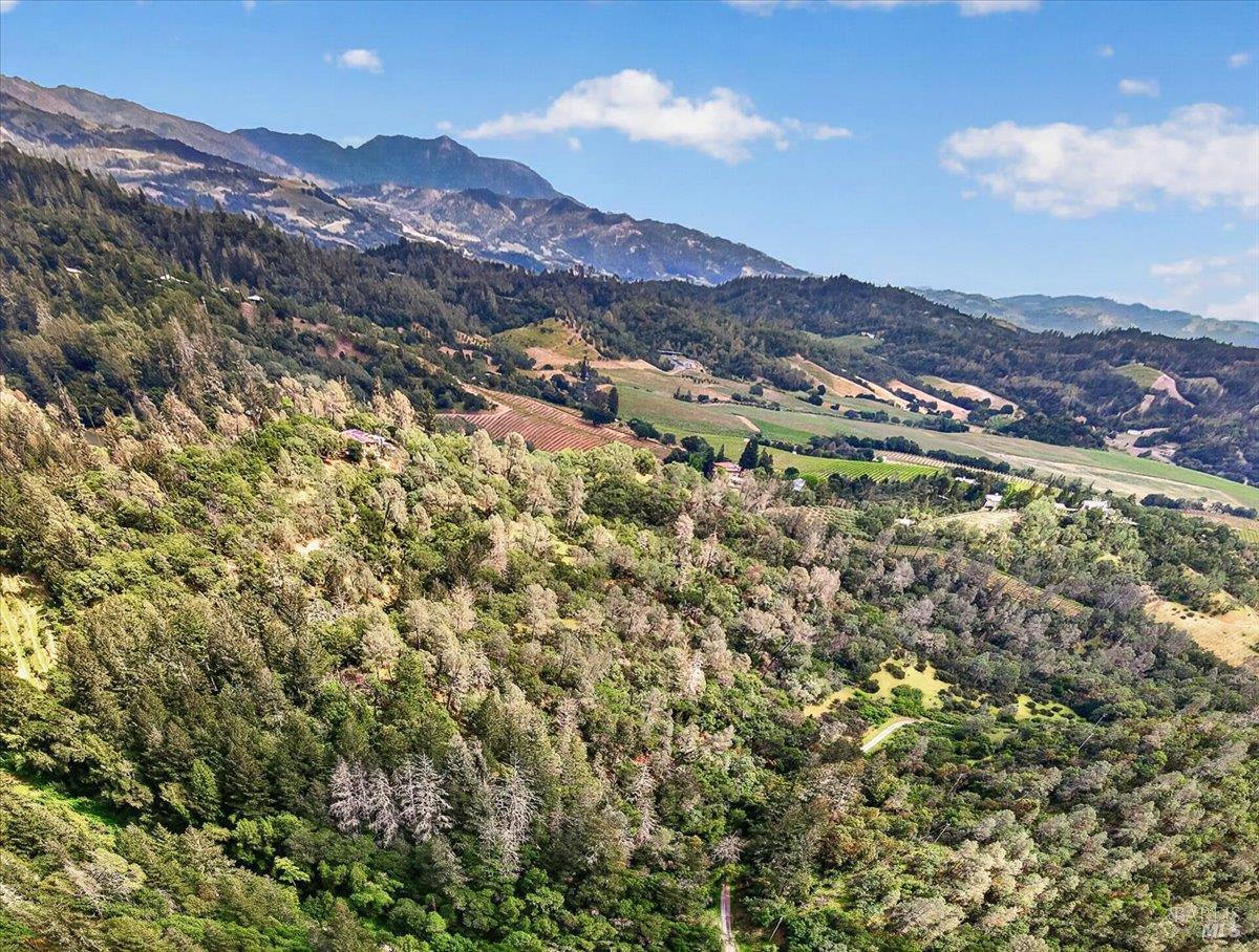 23889 Walling Road Geyserville, CA 95441 - Photo 9 of 10 a view of a city with mountains in the background