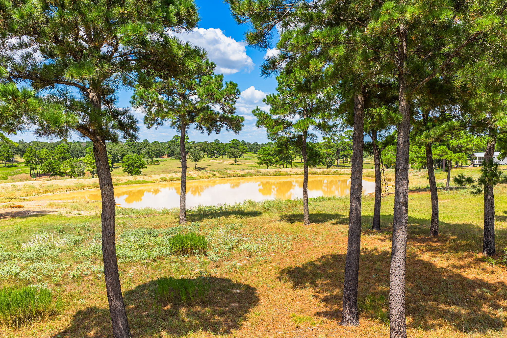 212 Meuth Cemetery Road Red Rock, TX 78662 - Photo 4 of 38 View of grassy yard with a water view