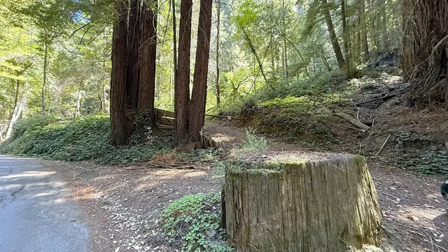 a view of backyard with green space