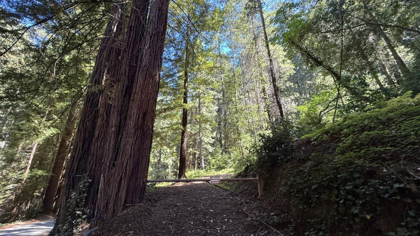 15645 Stetson Road Los Gatos, CA 95033 - Photo 2 of 8 a view of backyard with green space