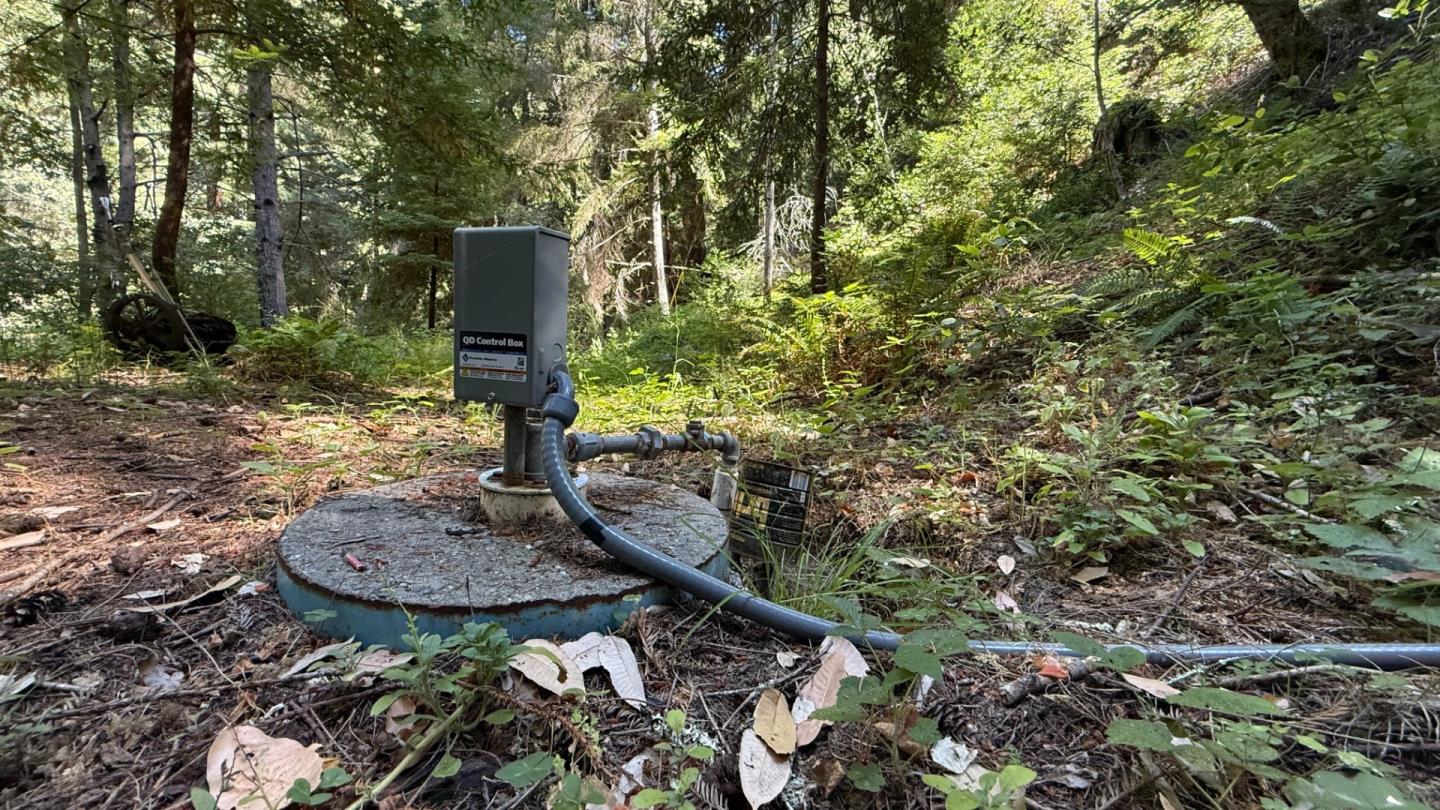 15645 Stetson Road Los Gatos, CA 95033 - Photo 4 of 8 a backyard of a house with lots of green space