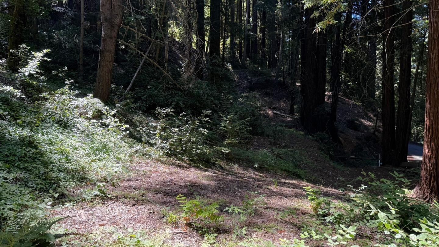15645 Stetson Road Los Gatos, CA 95033 - Photo 6 of 8 a view of outdoor space and covered with trees