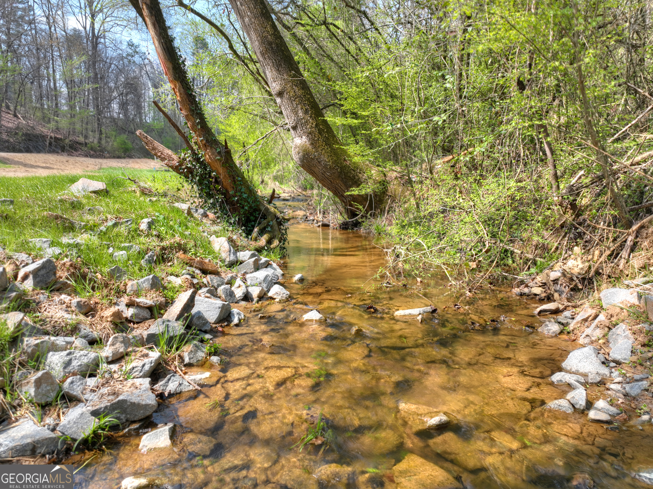 1072 Tails Creek Road Ellijay, GA 30540 - Photo 4 of 38