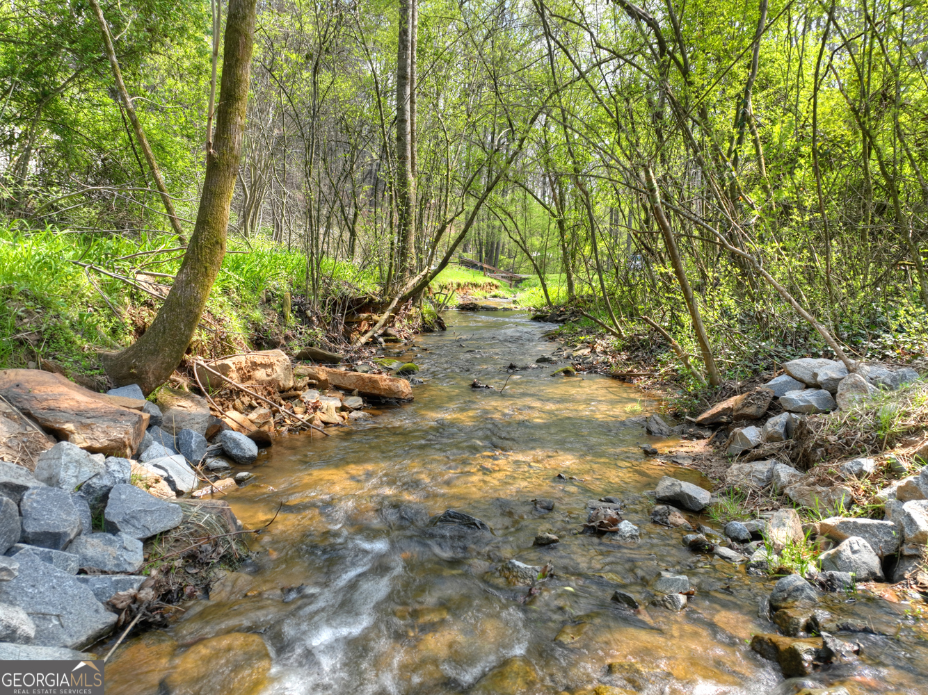 1072 Tails Creek Road Ellijay, GA 30540 - Photo 5 of 38