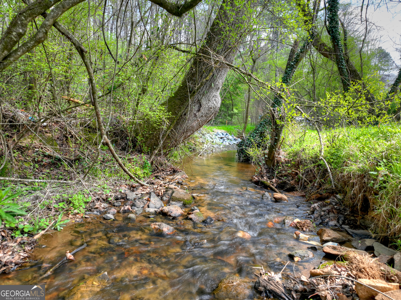 1072 Tails Creek Road Ellijay, GA 30540 - Photo 7 of 38