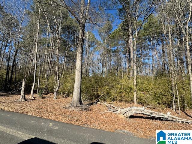 437 Hall Burton Road, Unit 1 Sumiton, AL 35148 - Photo 6 of 6