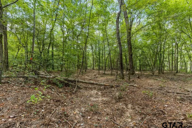 a view of a yard with a swimming pool