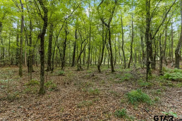a view of a lake view