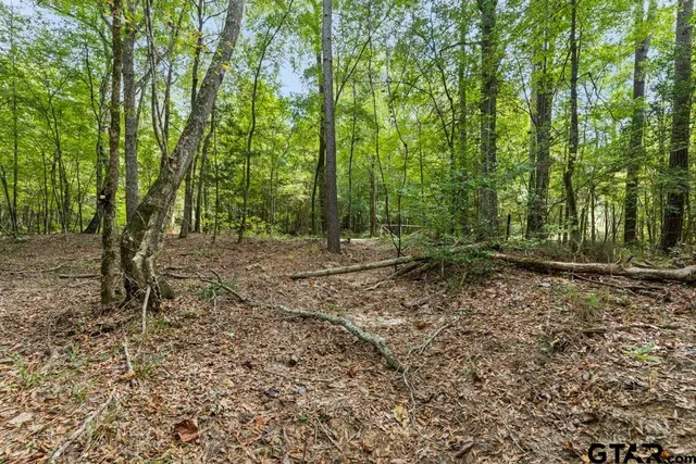 a view of outdoor space with trees all around