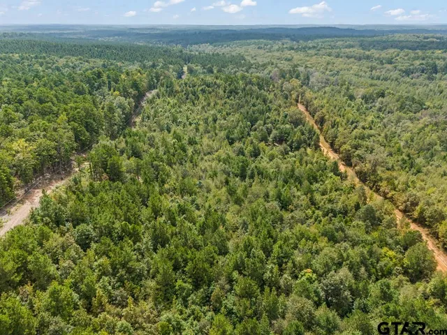 a view of outdoor space with trees