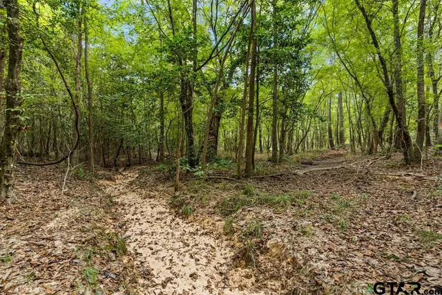 $187,600 | 2993 28 Ac Hughes Springs, Hughes Springs, TX 75656