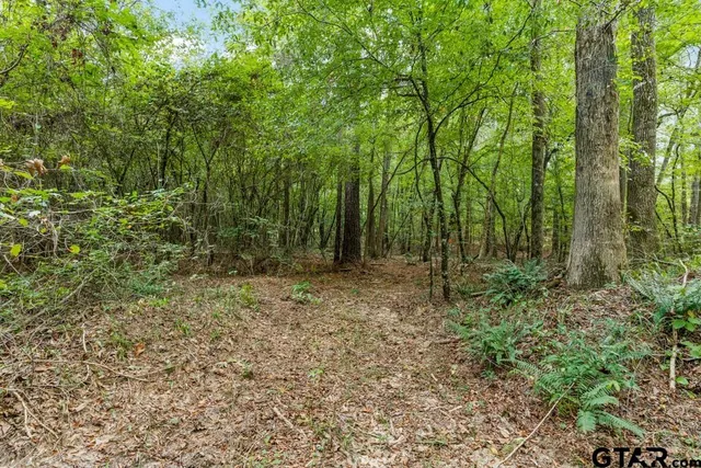 a view of outdoor space and trees