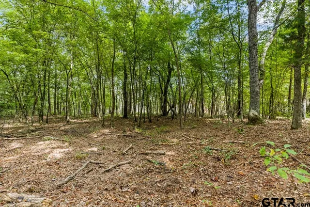 a view of outdoor space with trees