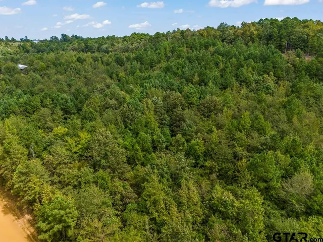 an aerial view of a houses with a lush green forest