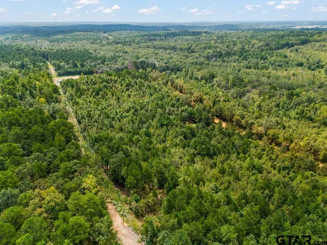 a view of a yard with plants and wooden fence
