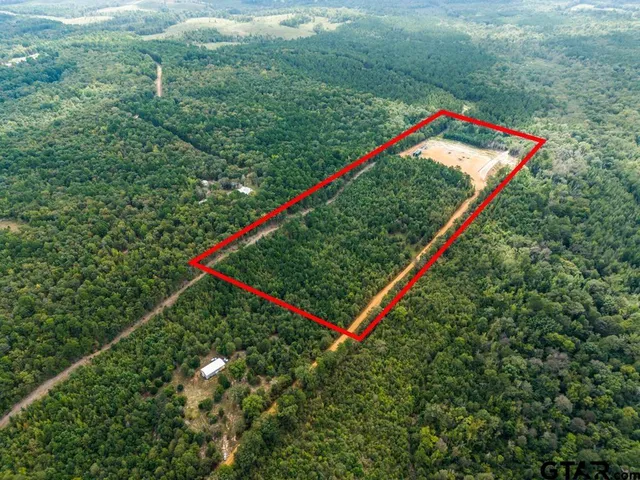 a small garden covered with tall trees