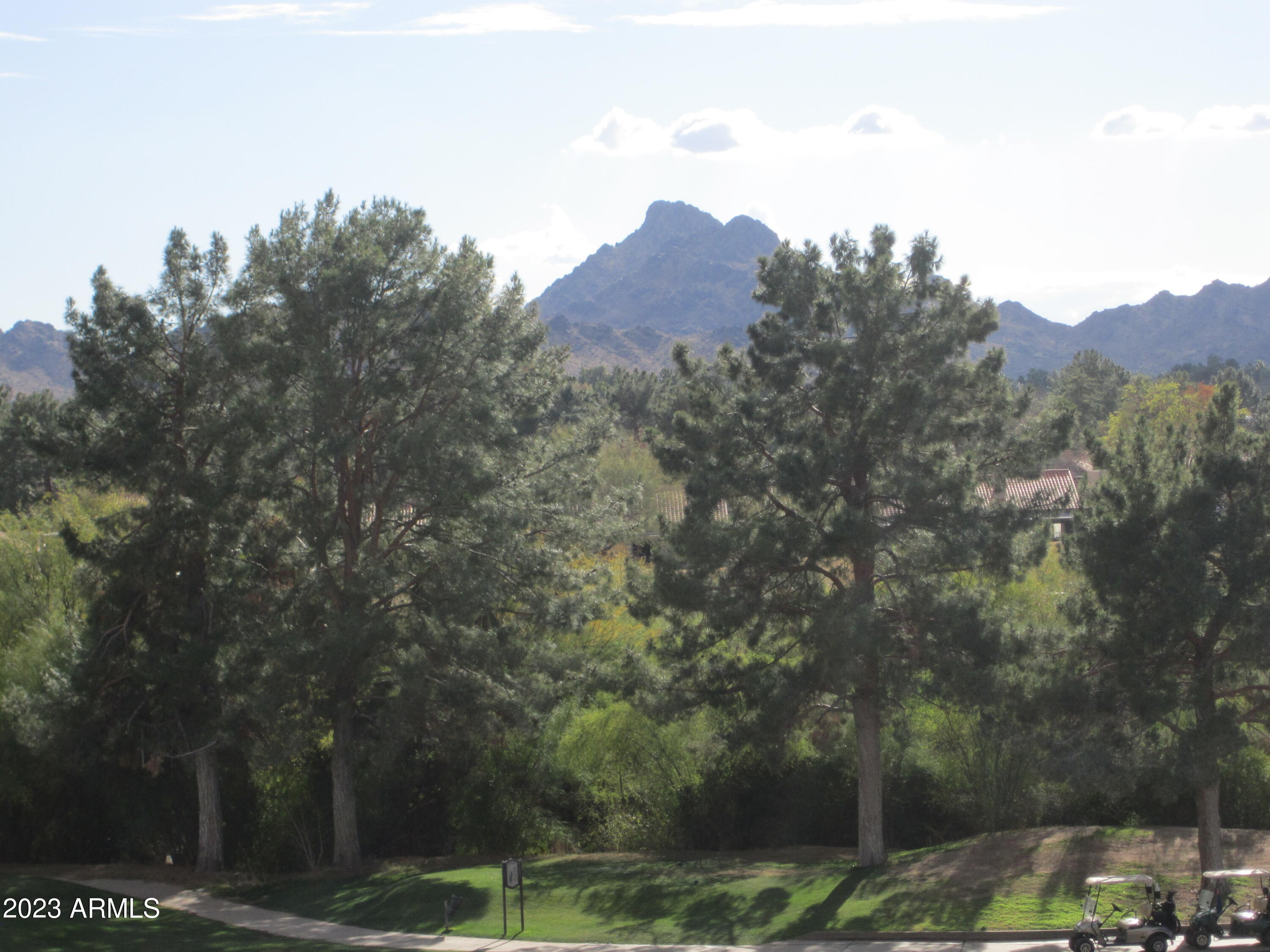 4303 East Cactus Road, Unit 137 Phoenix, AZ 85032 - Photo 15 of 22 TALL PINES AMID MOUNTAINS