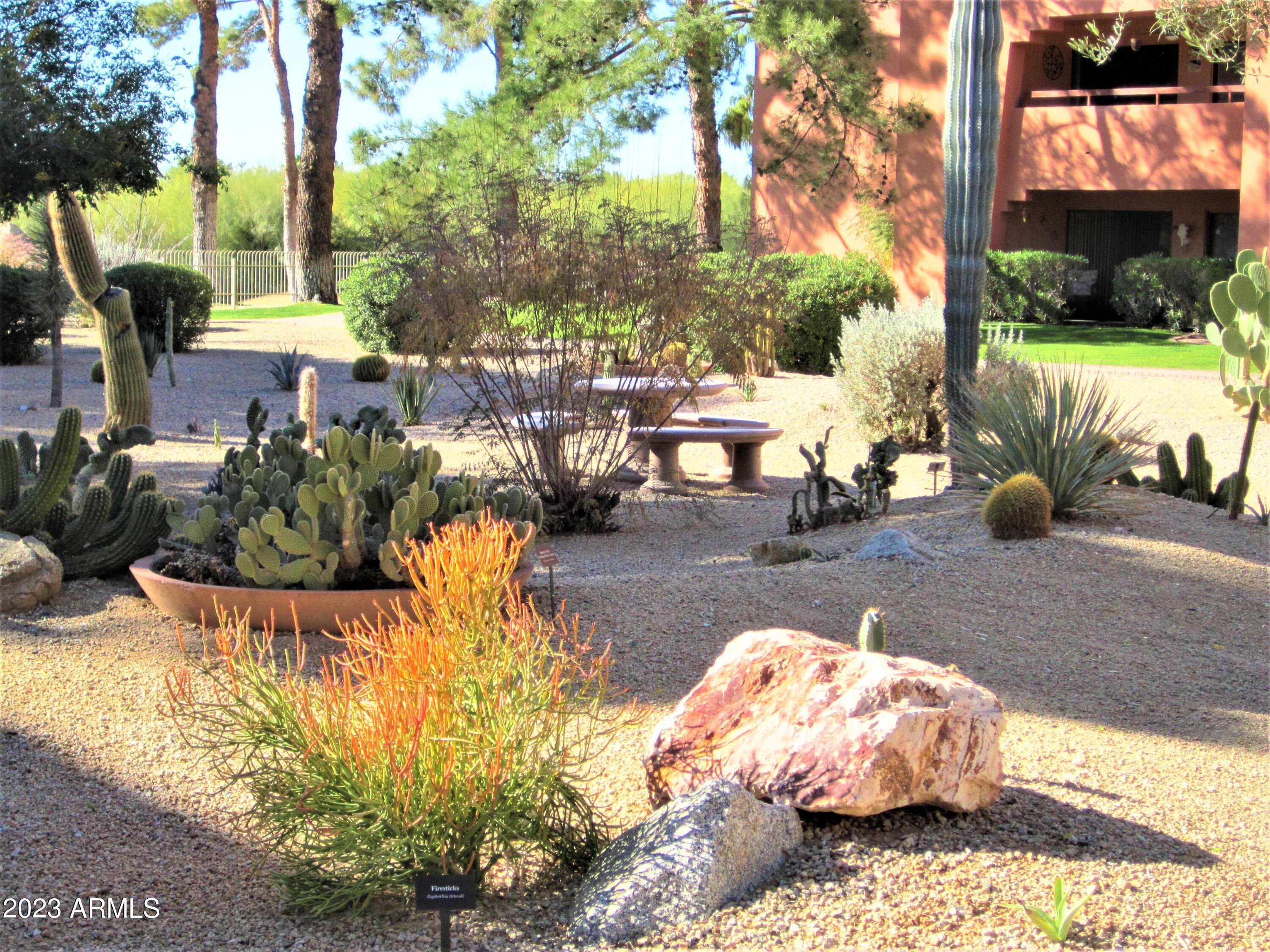 4303 East Cactus Road, Unit 137 Phoenix, AZ 85032 - Photo 16 of 22 COLORFUL AND RELAXING