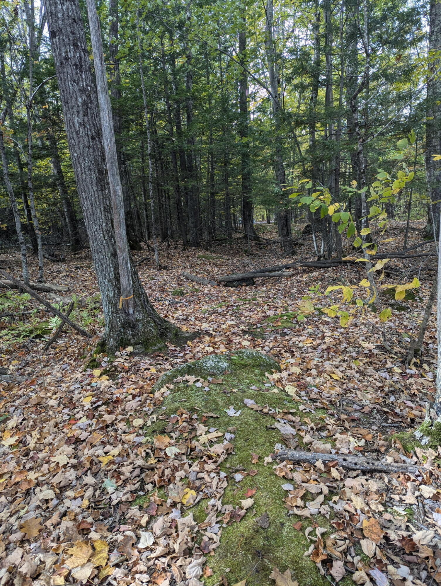 197 Ferry Road Lewiston, ME 04240 - Photo 61 of 75 8238361348285077818