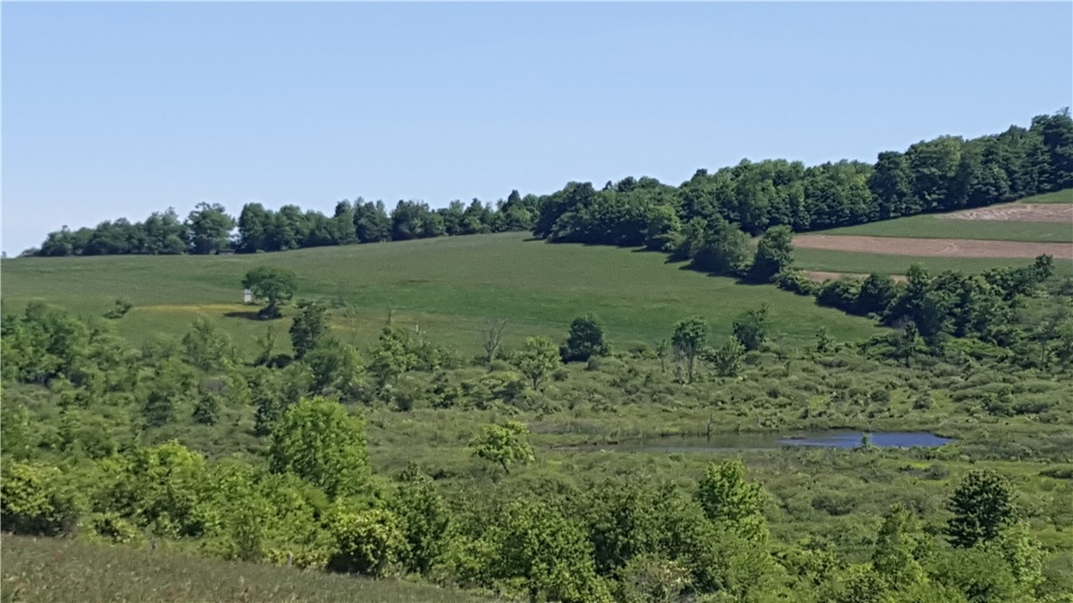 Stone Road McGraw, NY 13101 - Photo 2 of 7