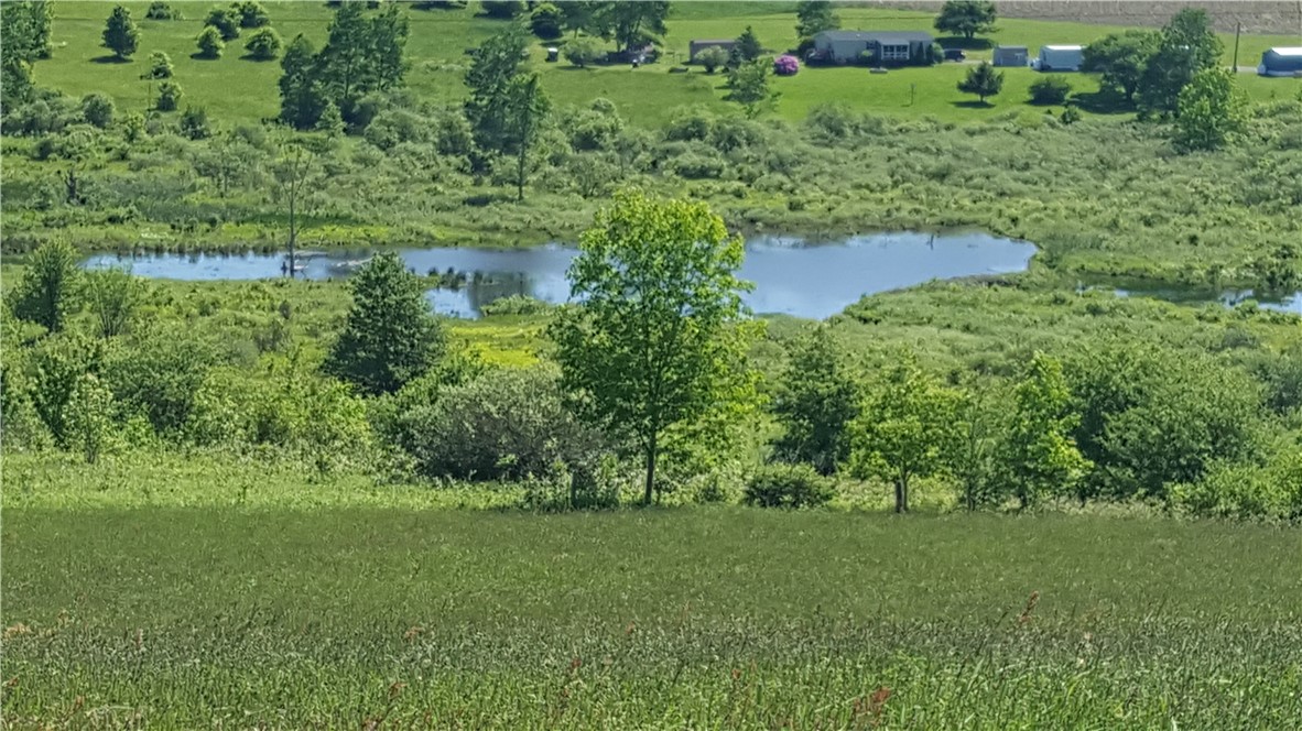 Stone Road McGraw, NY 13101 - Photo 3 of 7