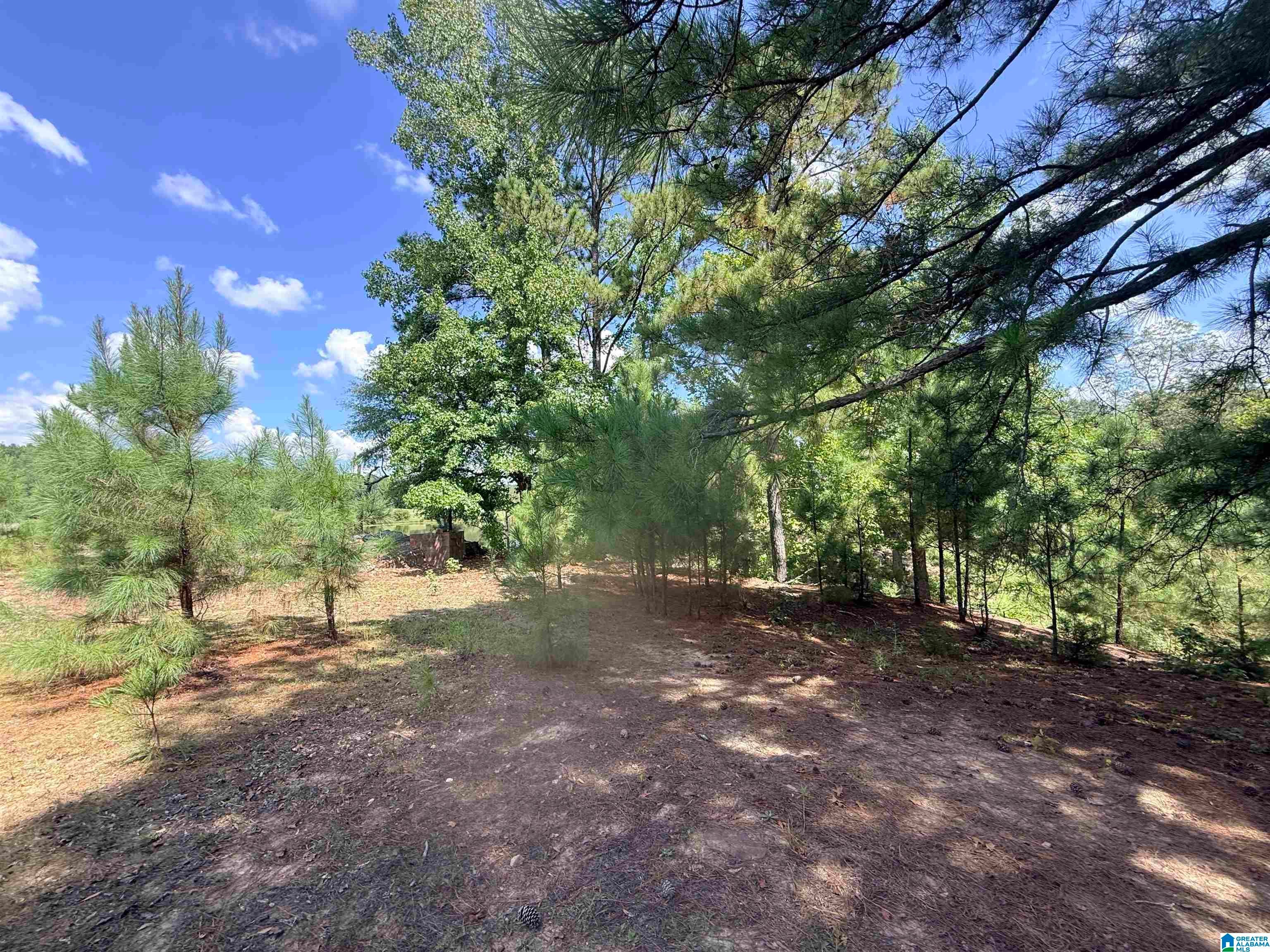 0 Rockyview Road West Blocton, AL 35184 - Photo 3 of 23 Gallery Image 3