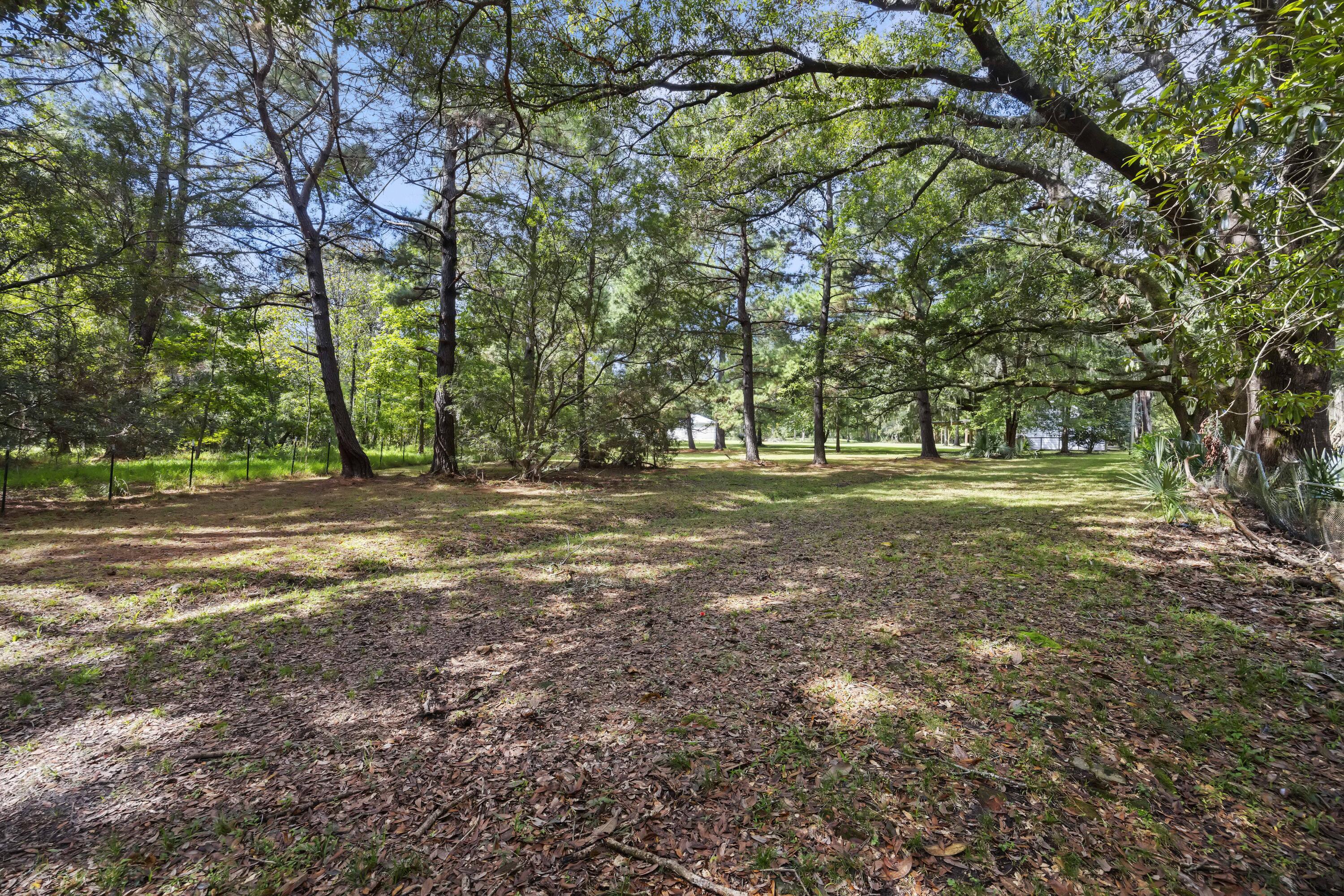 1095 Hughes Road Johns Island, SC 29455 - Photo 28 of 40 243A3254
