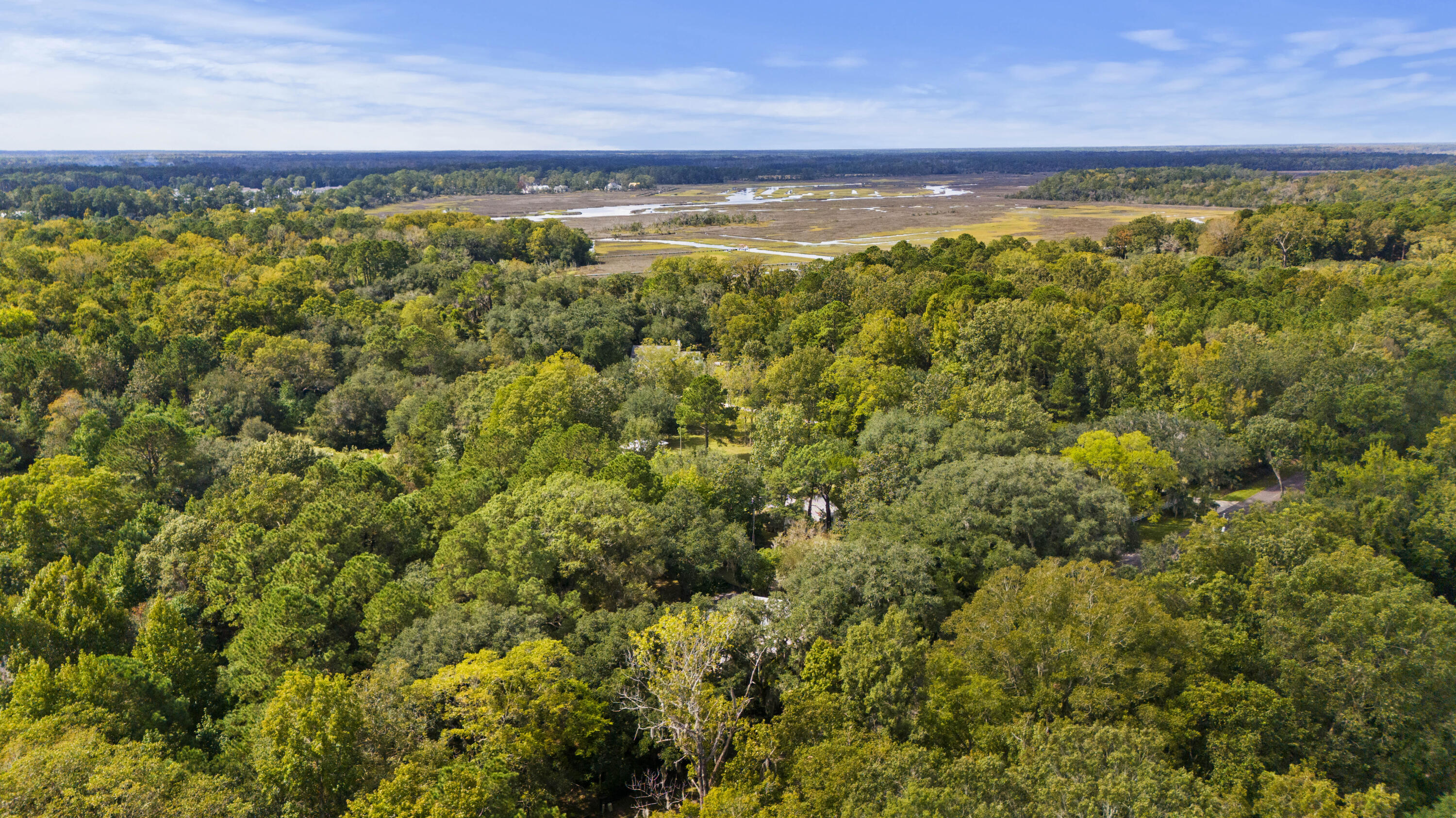 1095 Hughes Road Johns Island, SC 29455 - Photo 35 of 40 DJI_20251008133829_0676_D
