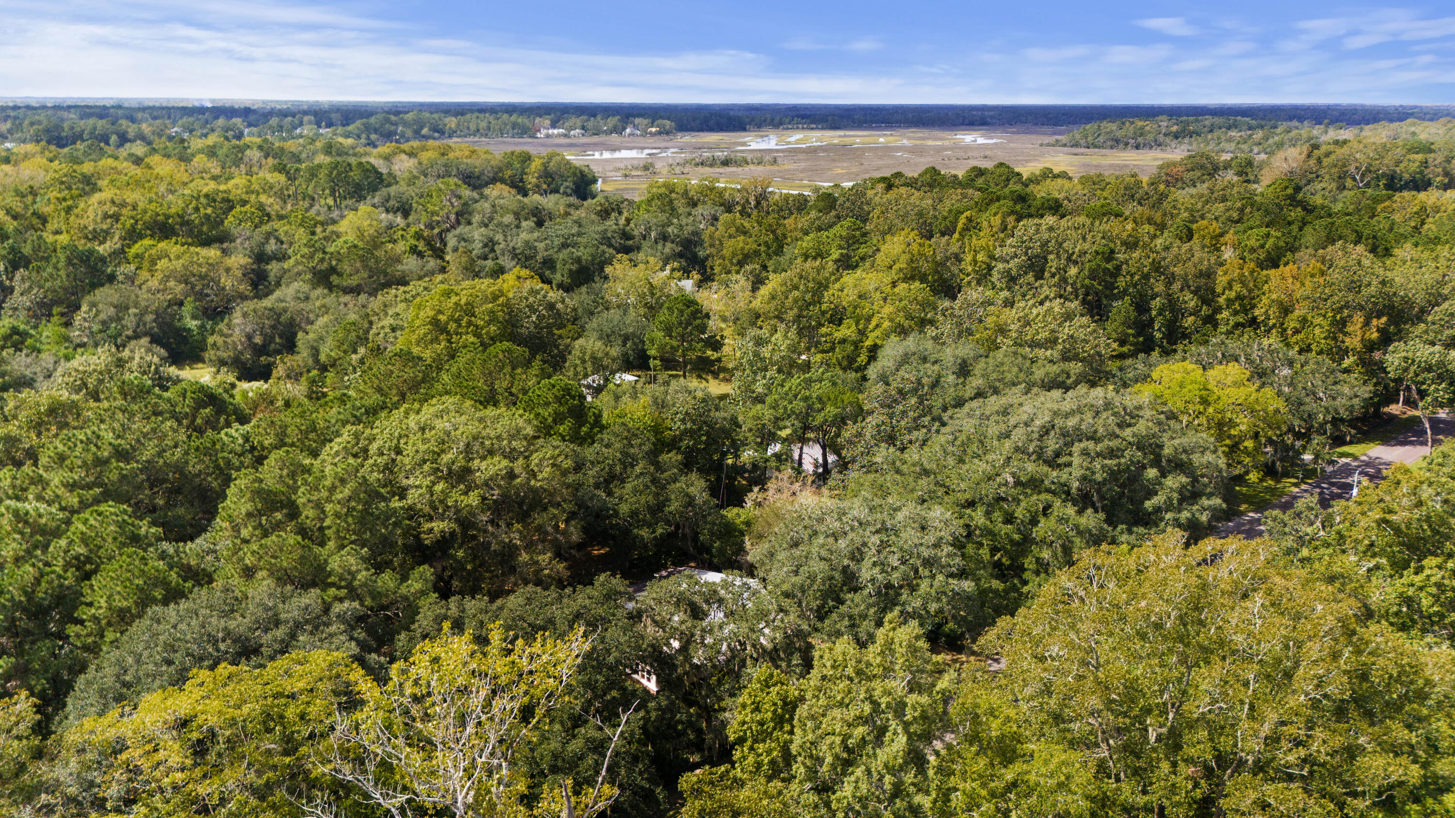 1095 Hughes Road Johns Island, SC 29455 - Photo 40 of 40 DJI_20251008133457_0649_D