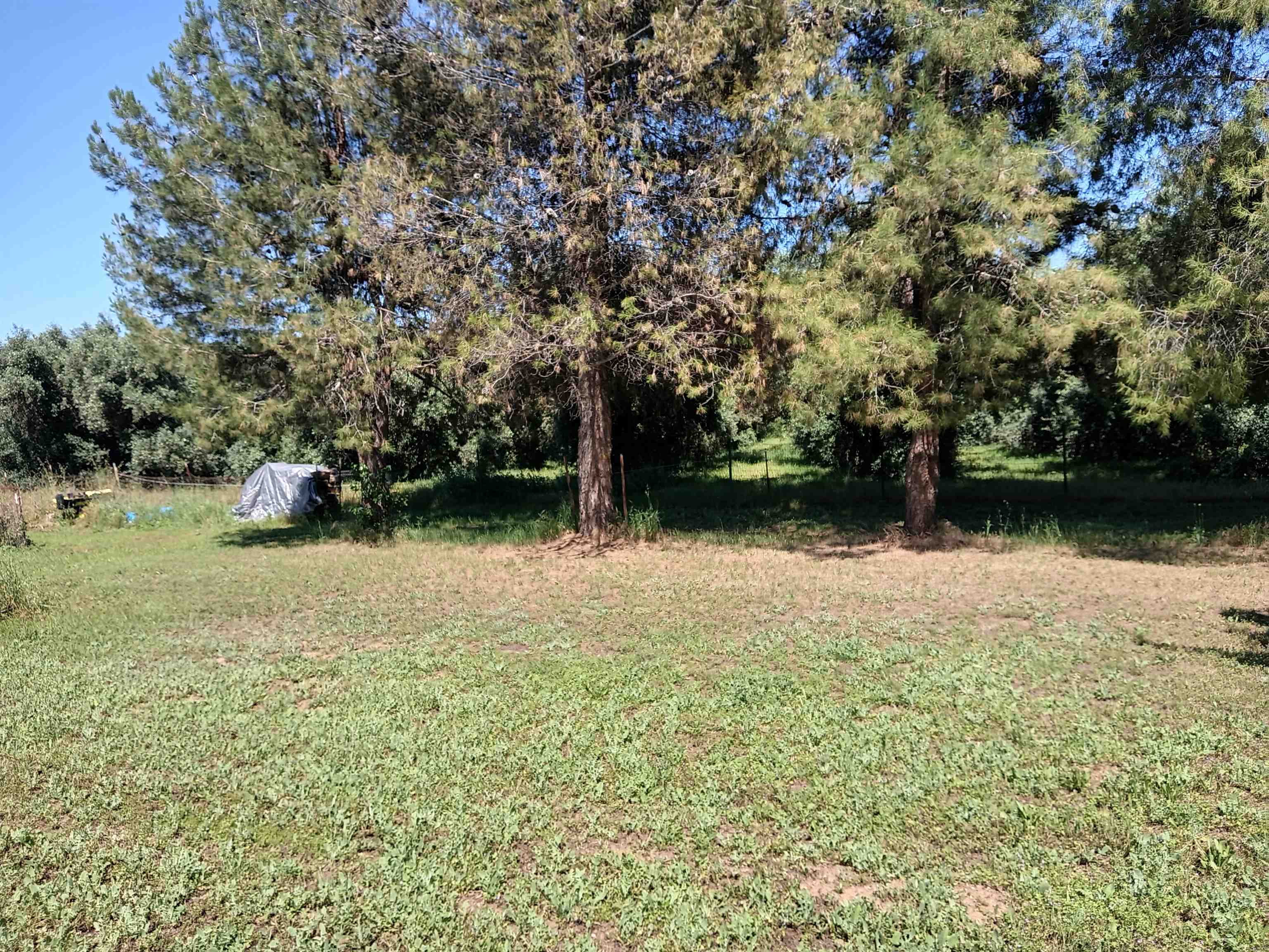 23590 Gyle Road Gerber, CA 96035 - Photo 17 of 29