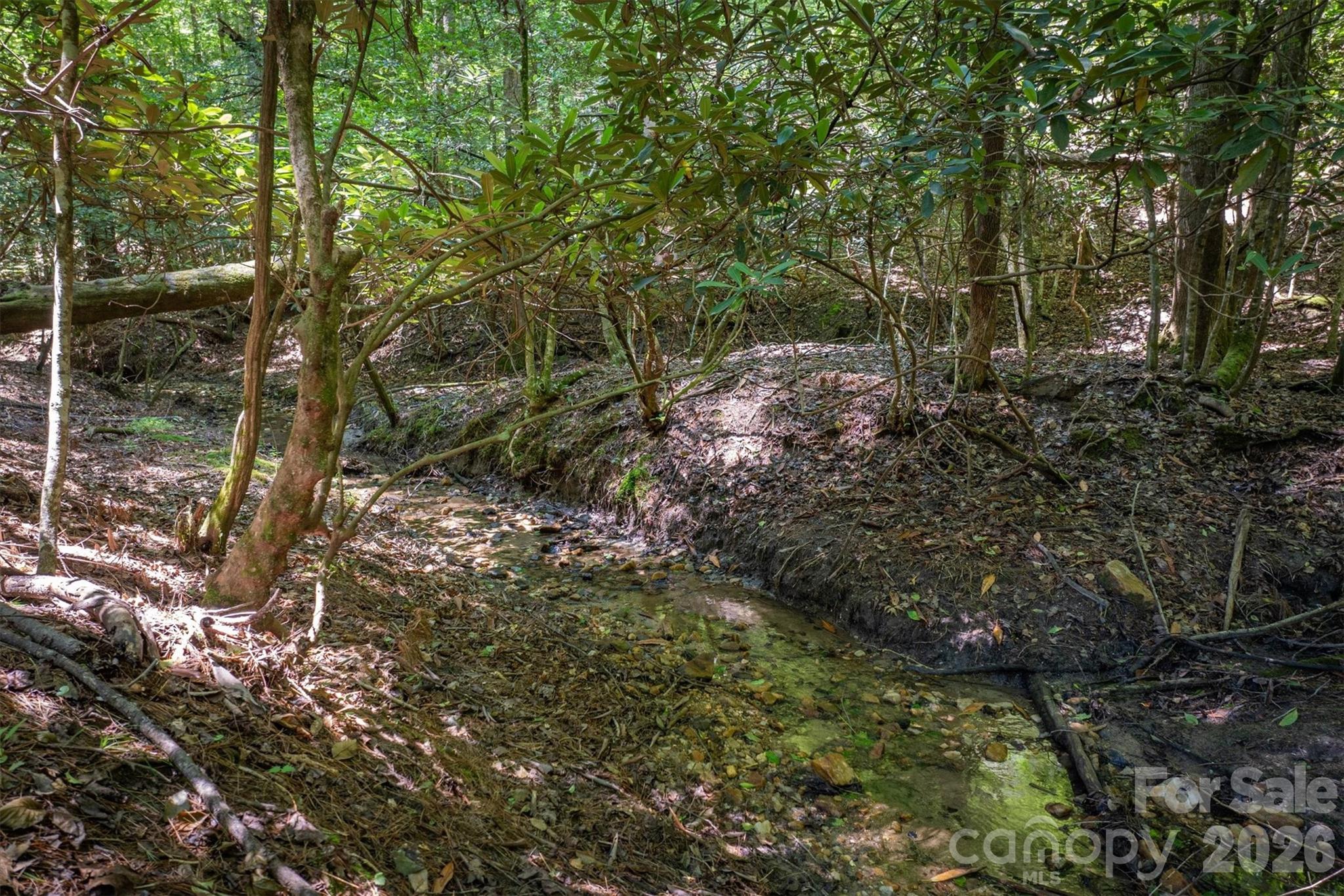 2243 Cottage Park Road Morganton, NC 28655 - Photo 11 of 48 a view of a forest with trees