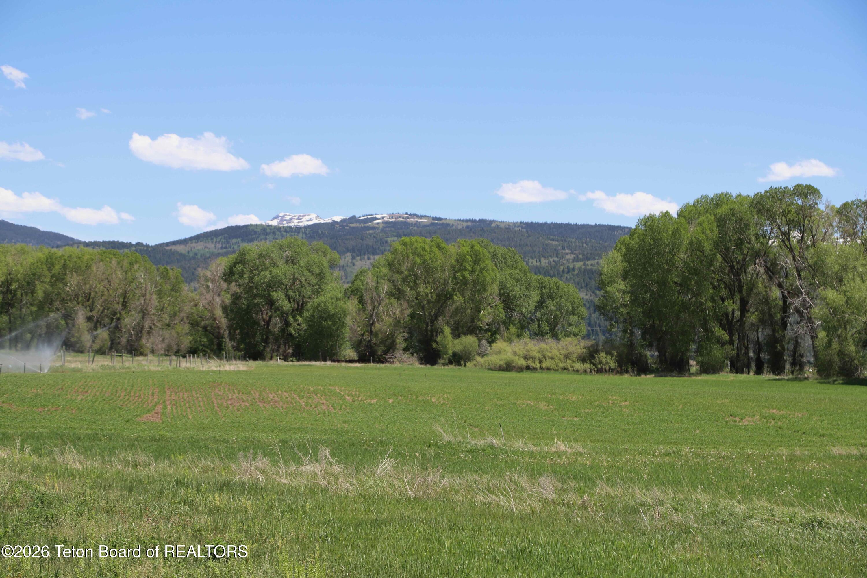 1234 Dairy Court Victor, ID 83455 - Photo 9 of 14 Summers 2-7799