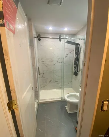 a bathroom with a shower and toilet
