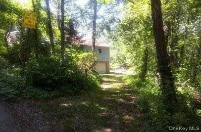 a view of a yard with plants and large trees