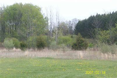 9741 Fulmer Road Millington, MI 48746 - Photo 10 of 11 20221920-9.JPG