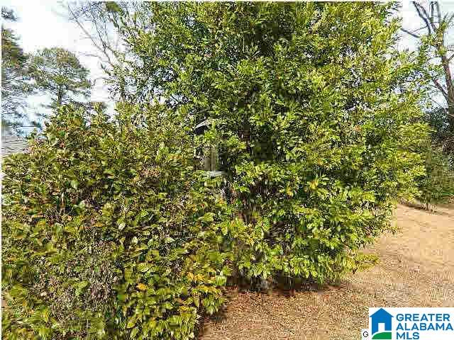 740 Gene Reed Road Birmingham, AL 35235 - Photo 25 of 31