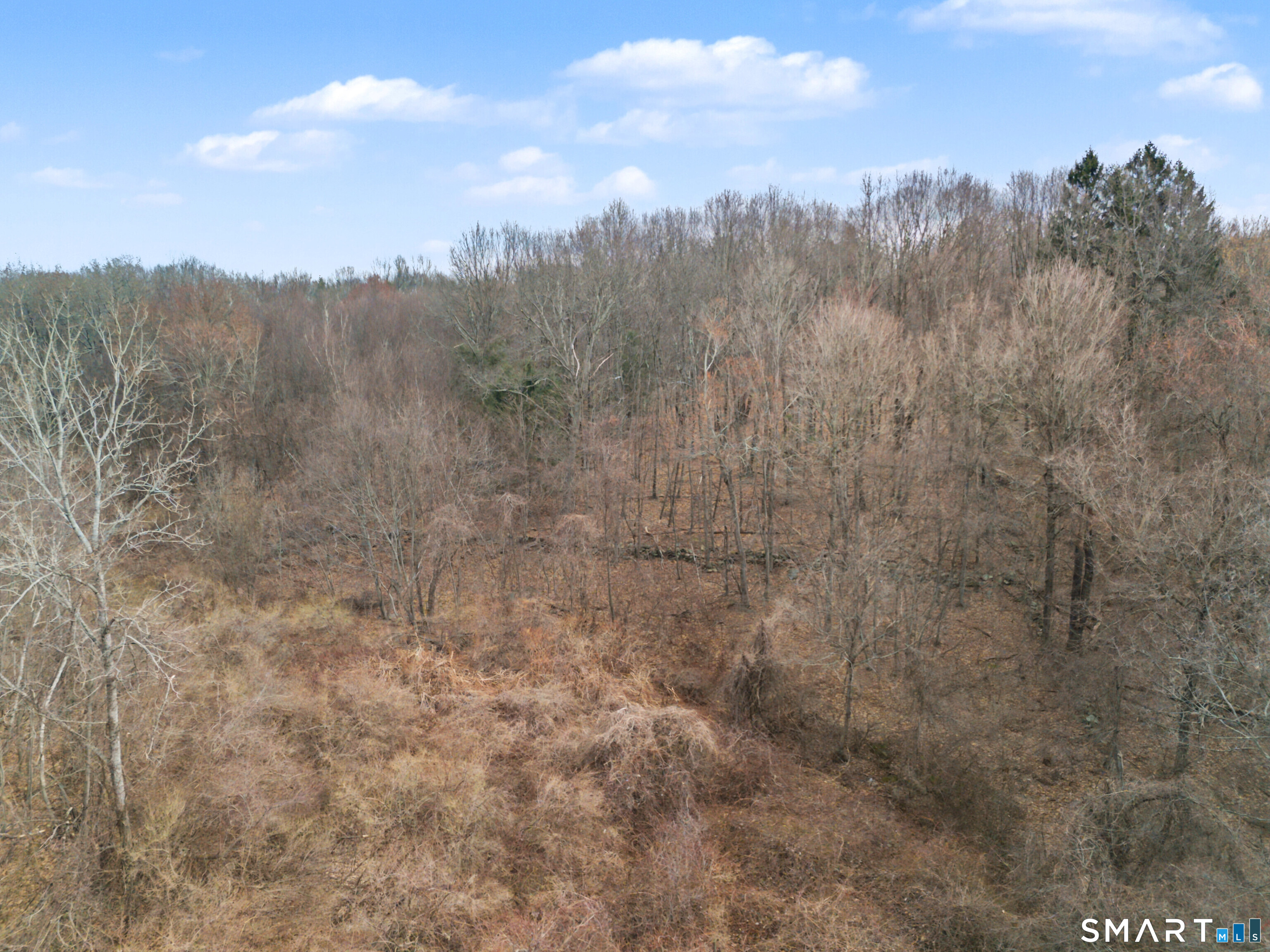 Towantic Hill Road Oxford, CT 06478 - Photo 6 of 17
