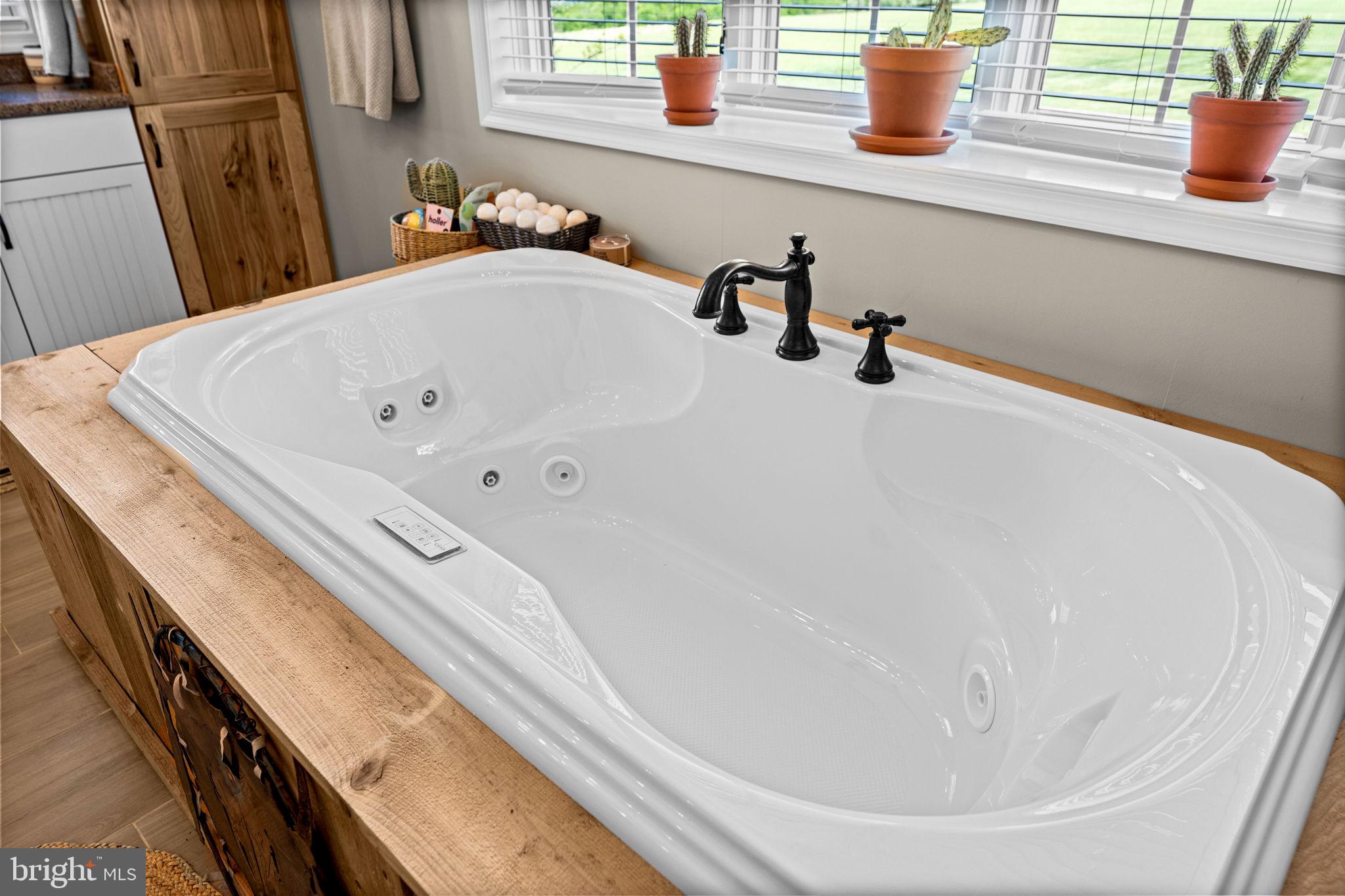 820 Shadyside Road Elk Garden, WV 26717 - Photo 50 of 138 Primary Bath